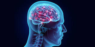 Brain Hemorrhage Treatment Cost and Care